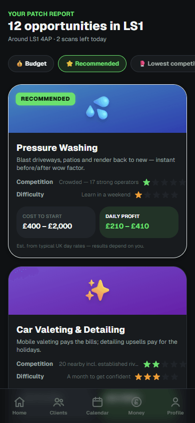 StartMyPatch scanner results — 12 opportunities found, pressure washing recommended